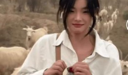 爆料惠然的博主视频,揭秘惠然博主视频背后的惊人真相